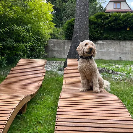 Ubytování v soukromí Willa Apart Zakopane