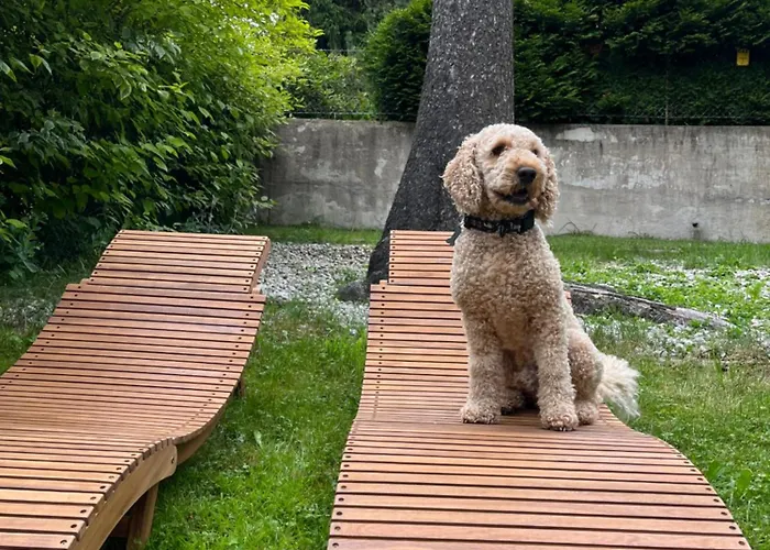 בית אירוח Willa Apart זקופאנה